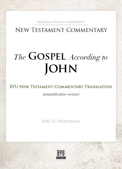The Gospel According to John: A New Rendition book cover